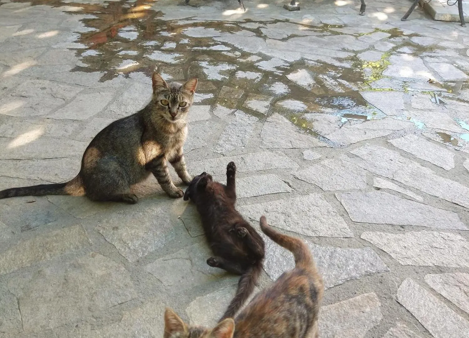 Cozy 2 Bedroom Apartment With Terrace Near The Beach And Park Warna